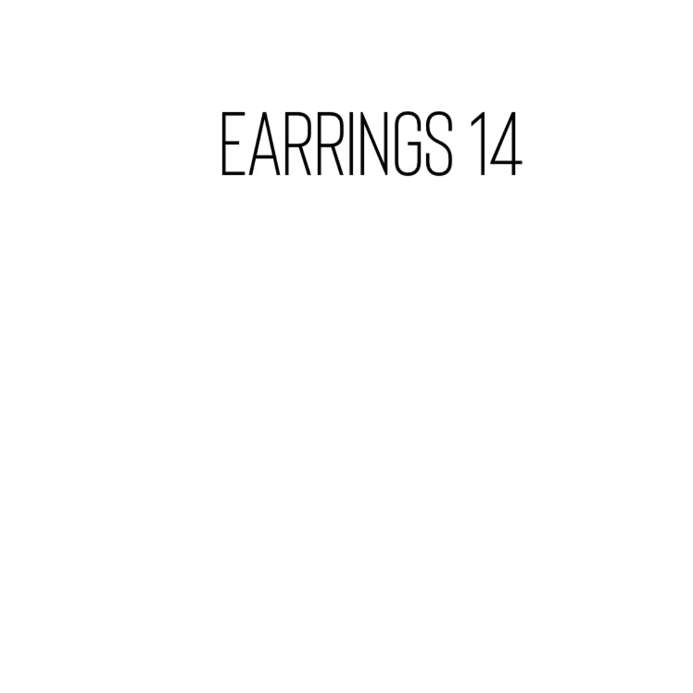 Earrings 14